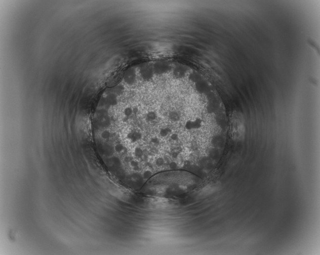 X0000102400523200808221850