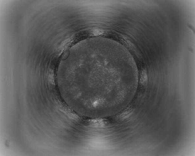 X0000102400524200808221850