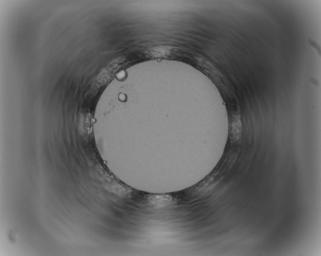X0000102400525200808221850