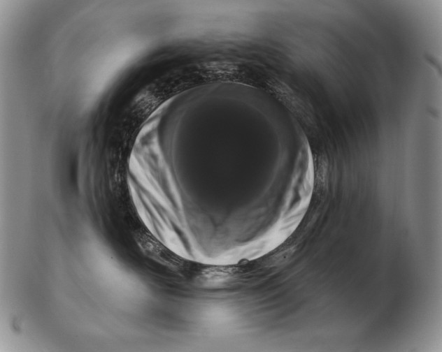 X0000102400526200808221850