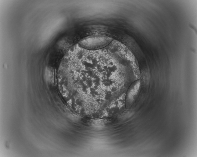 X0000102400527200808221850