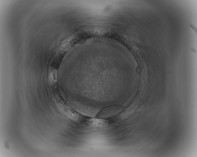 X0000102400528200808221850