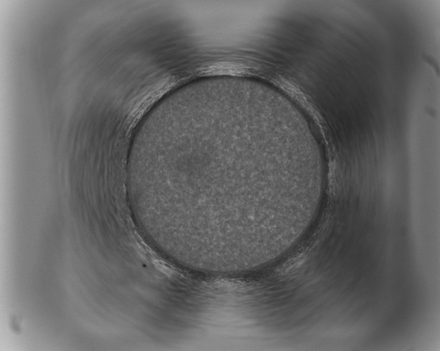 X0000102400529200808221850
