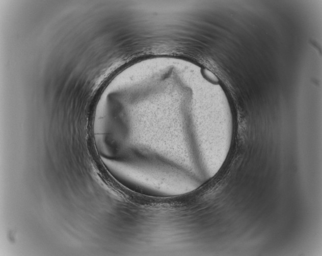 X0000102400530200808221850