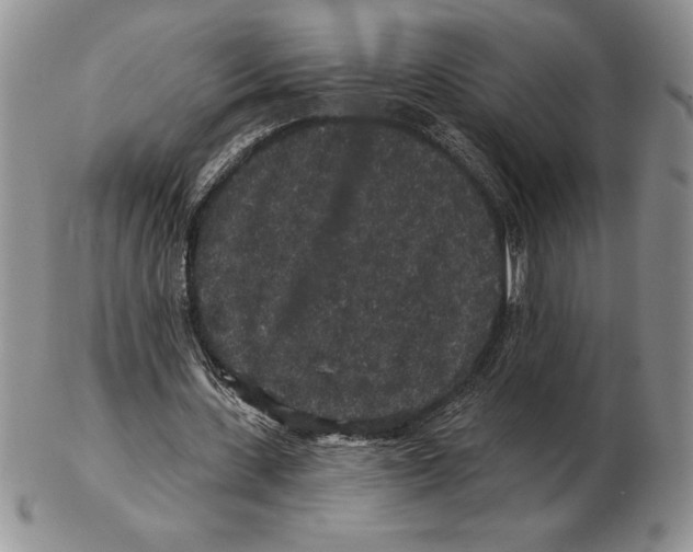 X0000102400531200808221850