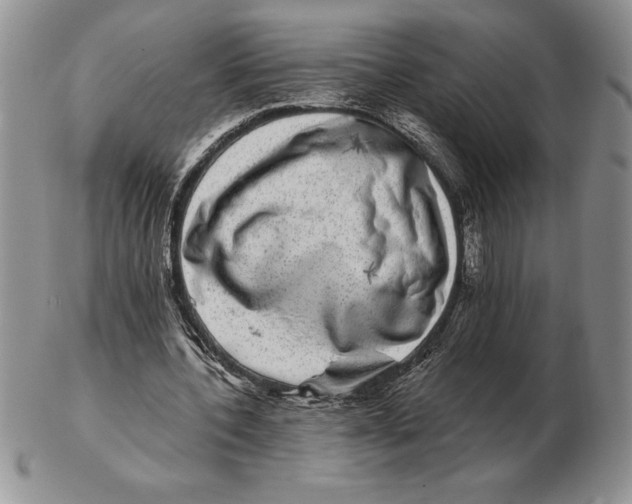 X0000102400532200808221850