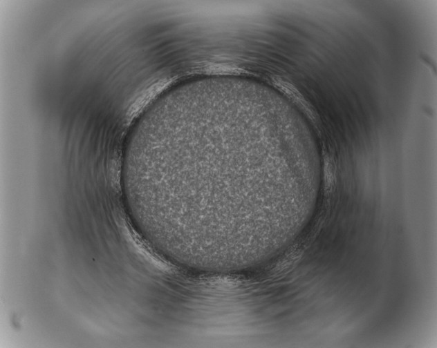 X0000102400533200808221850