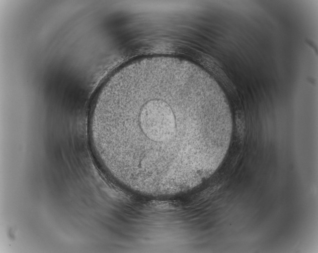 X0000102400534200808221850