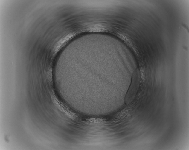 X0000102400535200808221850
