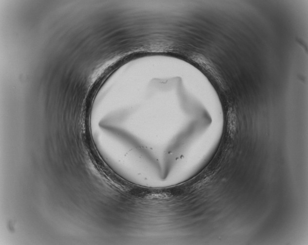 X0000102400536200808221850