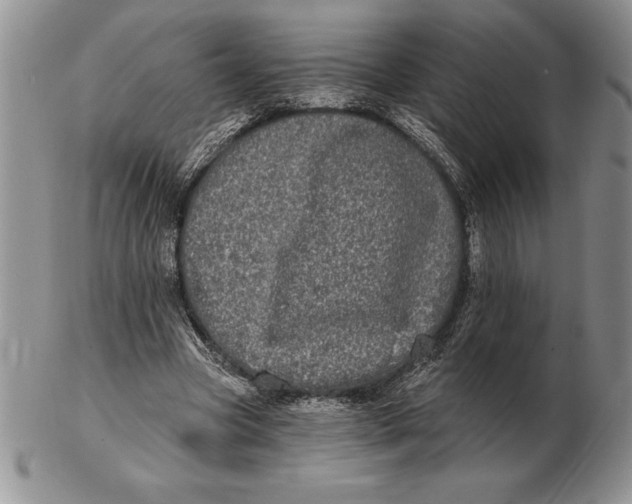 X0000102400537200808221850