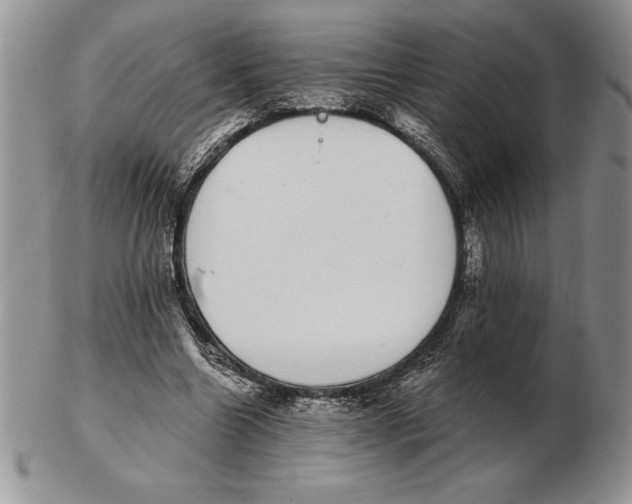 X0000102400538200808221850