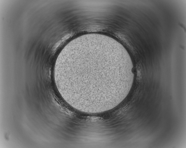 X0000102400539200808221850
