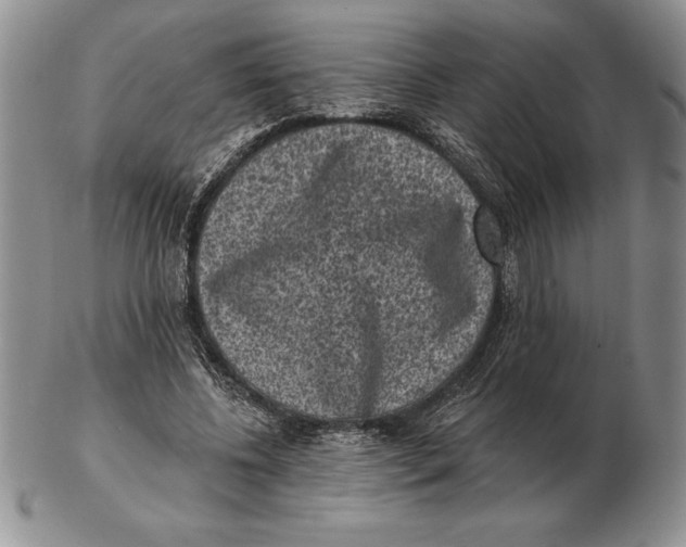 X0000102400540200808221850