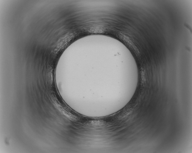 X0000102400541200808221850