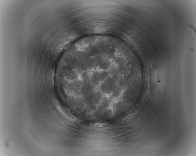 X0000102400542200808221850