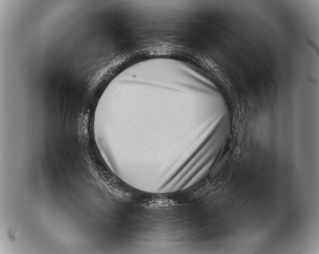 X0000102400543200808221850