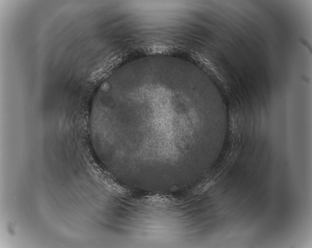 X0000102400545200808221850