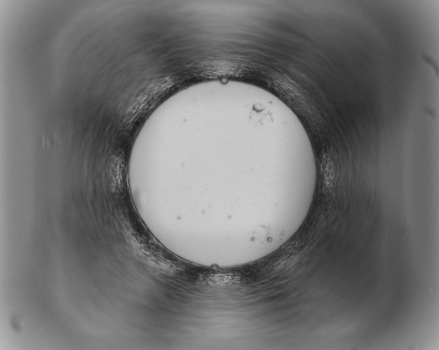 X0000102400546200808221850