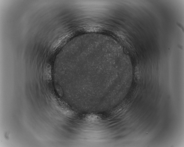 X0000102400547200808221850