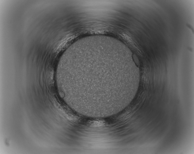 X0000102400548200808221850