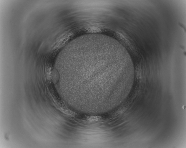 X0000102400549200808221850