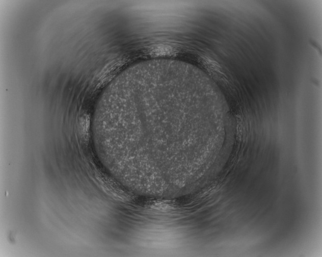 X0000102400550200808221850