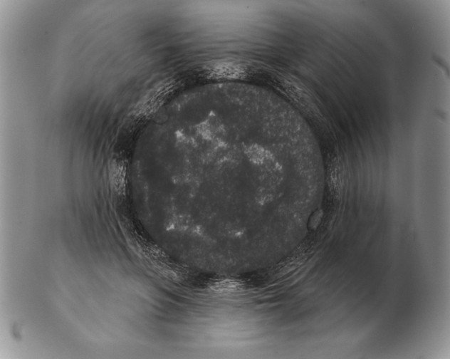 X0000102400551200808221850
