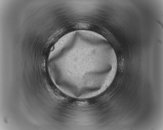 X0000102400552200808221850