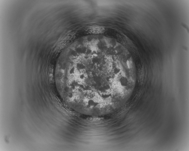 X0000102400553200808221850