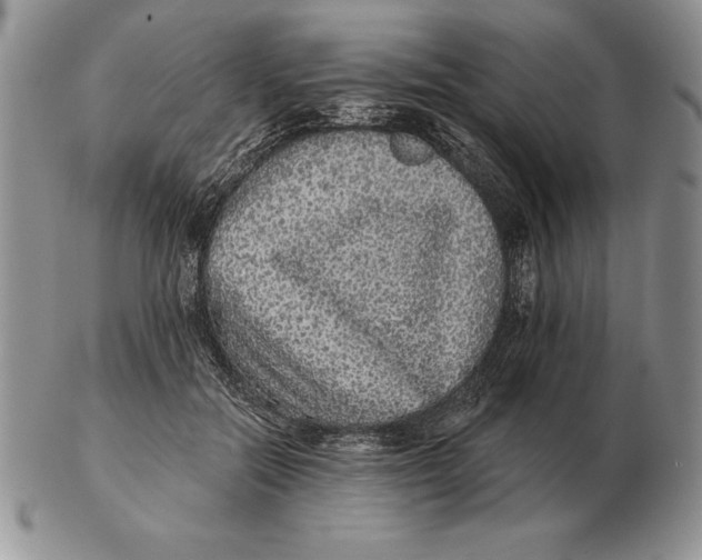 X0000102400554200808221850