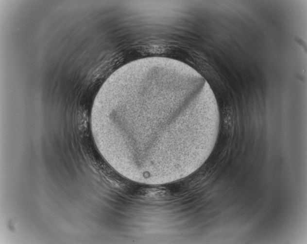 X0000102400555200808221850