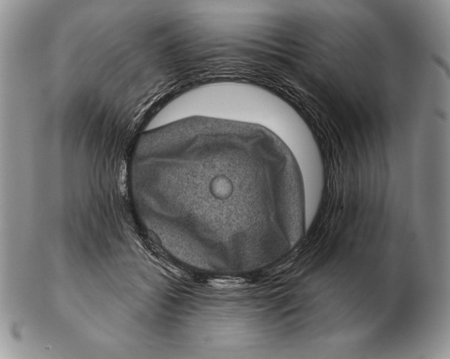 X0000102400556200808221850
