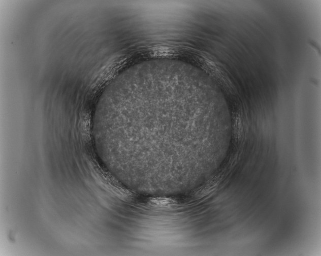 X0000102400557200808221850