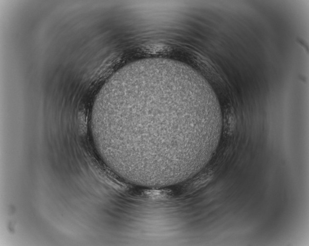 X0000102400558200808221850