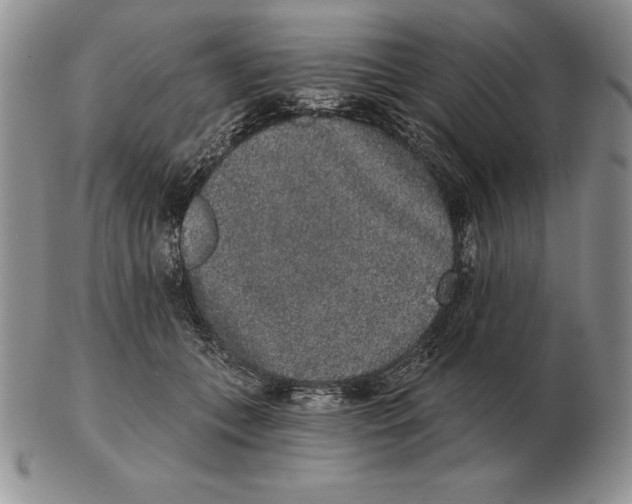 X0000102400559200808221850