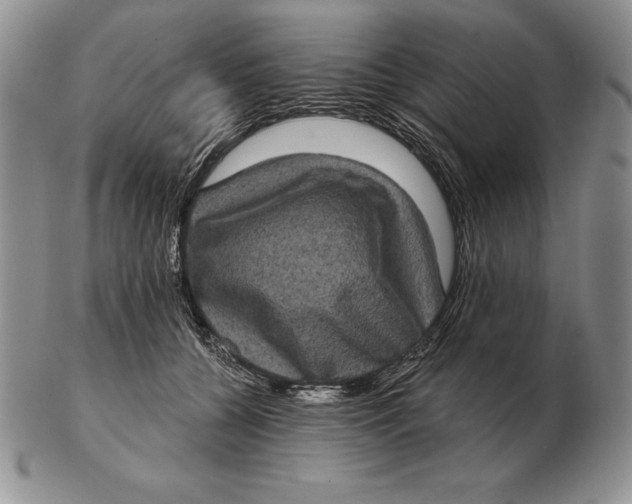 X0000102400560200808221850