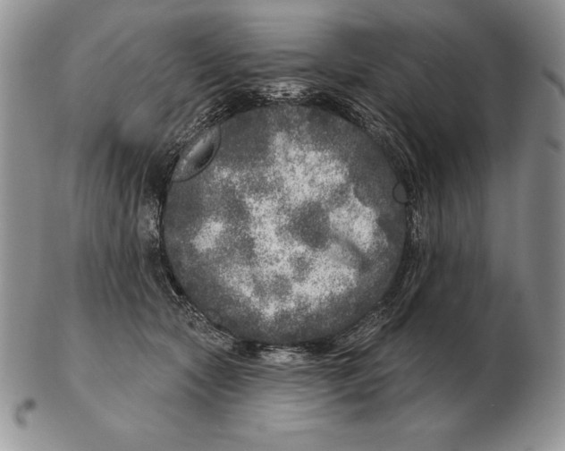 X0000102400561200808221850