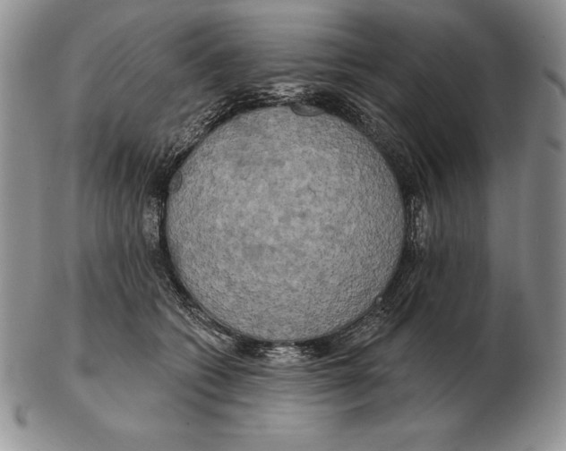 X0000102400562200808221850