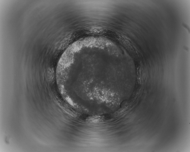 X0000102400563200808221850