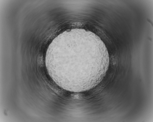 X0000102400564200808221850