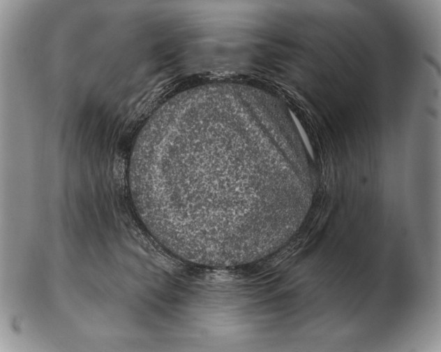 X0000102400565200808221850