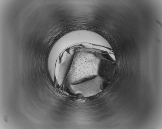 X0000102400566200808221850