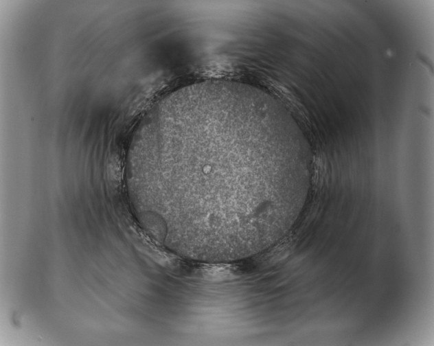 X0000102400569200808221850