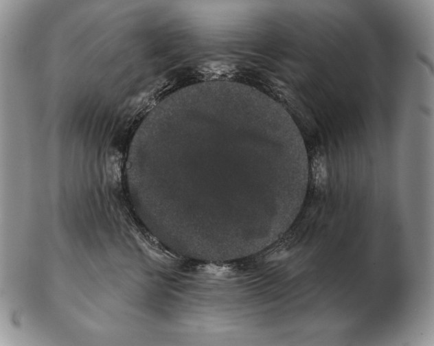 X0000102400570200808221850