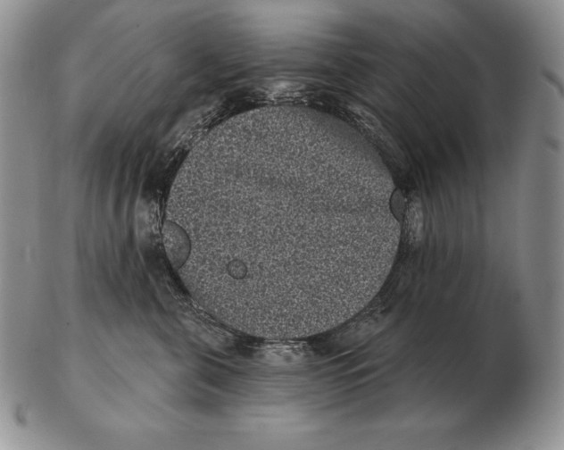 X0000102400571200808221850