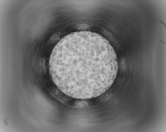 X0000102400572200808221850