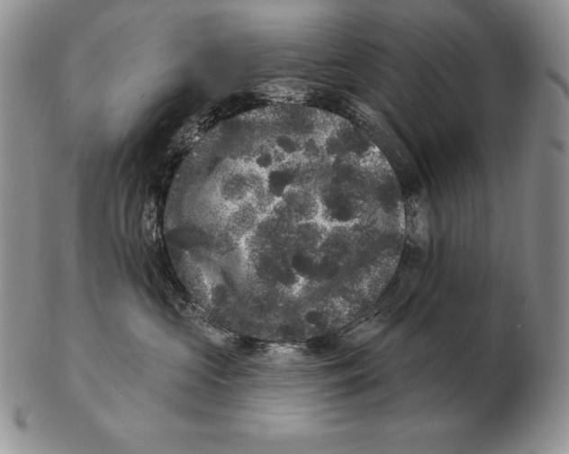 X0000102400573200808221850