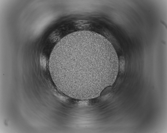 X0000102400574200808221850