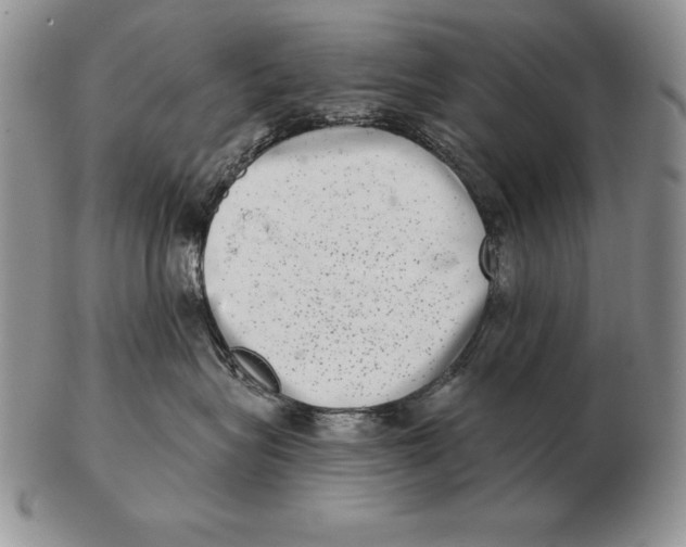 X0000102400575200808221850